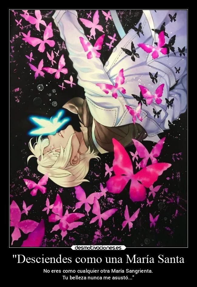 Desciendes como una María Santa - No eres como cualquier otra María Sangrienta.
Tu belleza nunca me asustó...