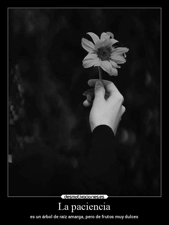 La paciencia - es un árbol de raíz amarga, pero de frutos muy dulces