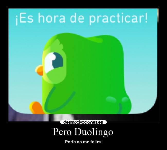 Pero Duolingo - Porfa no me folles
