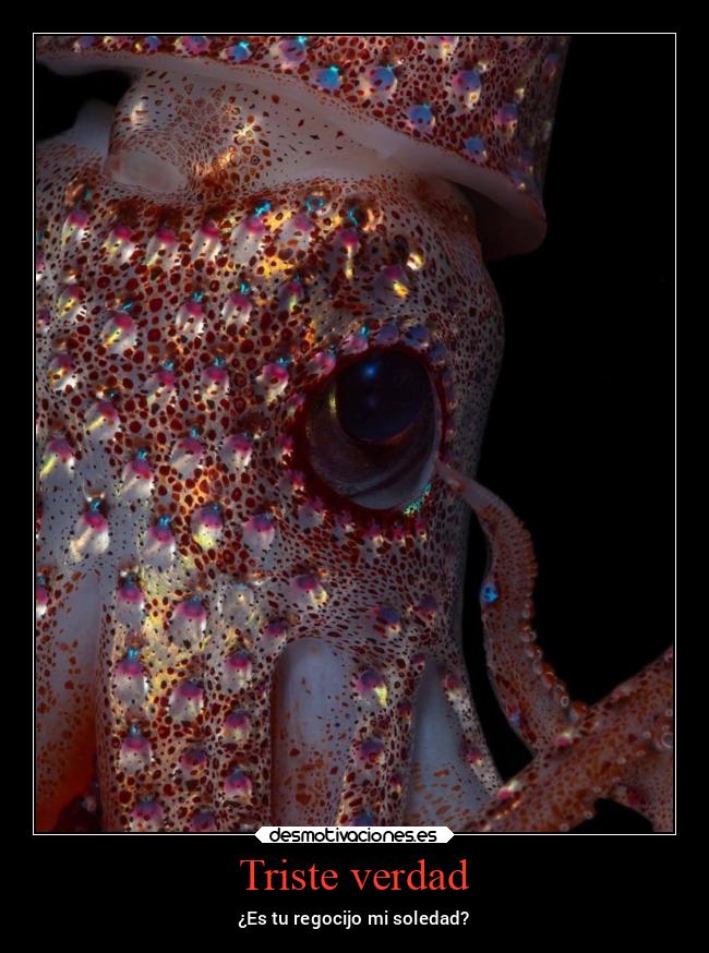 Triste verdad -