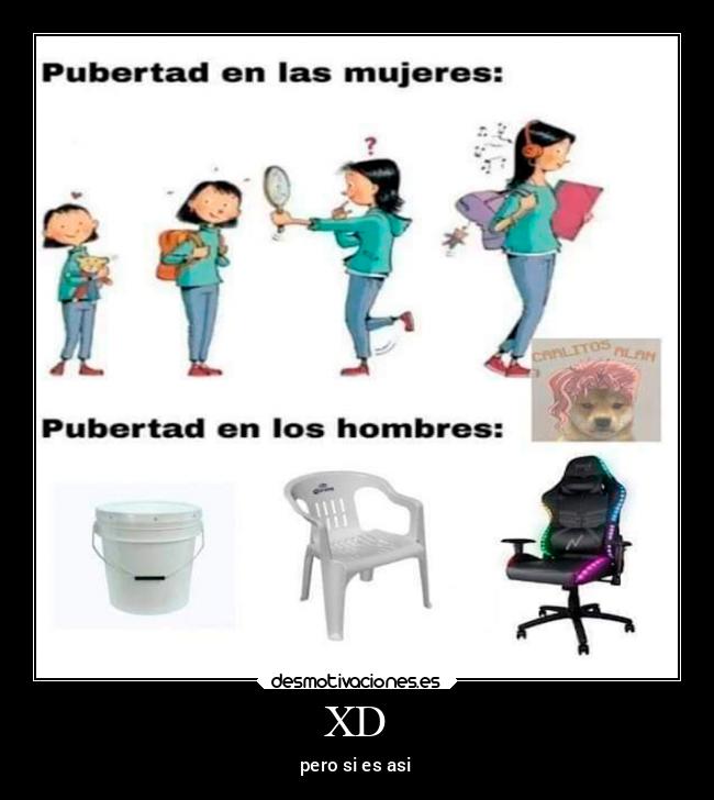 carteles idioma desmotivaciones