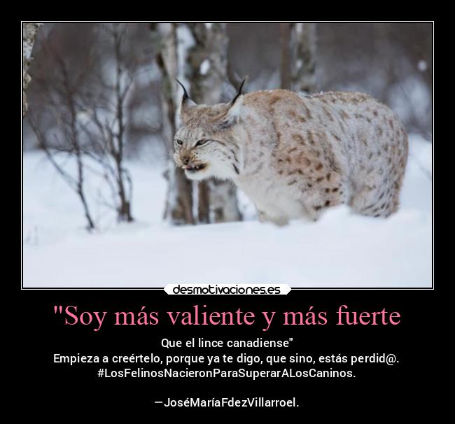 carteles motivaciones lincecanadiense queputapasada josemariafernandezvillarroel carisma echalecojones desmotivaciones