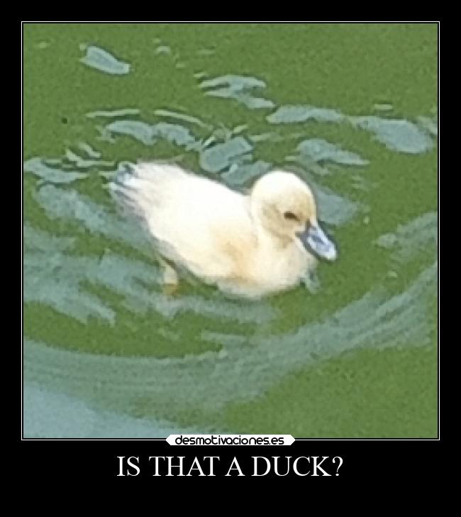 carteles risa desmotivaciones