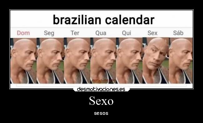 Sexo - sesos