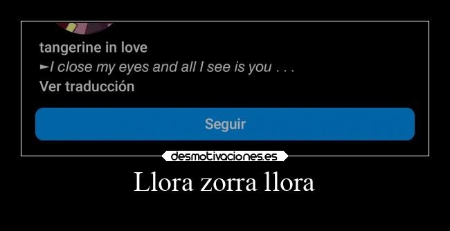 Llora zorra llora - 