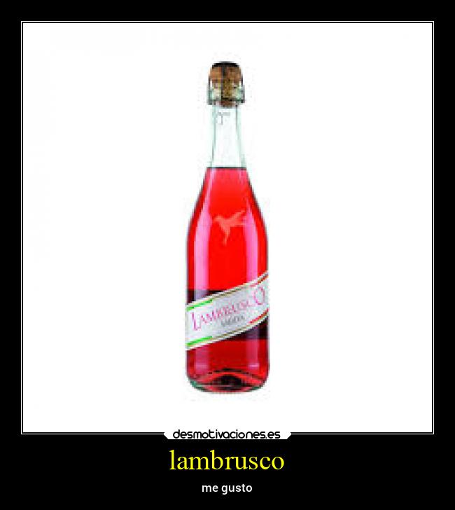 lambrusco - 