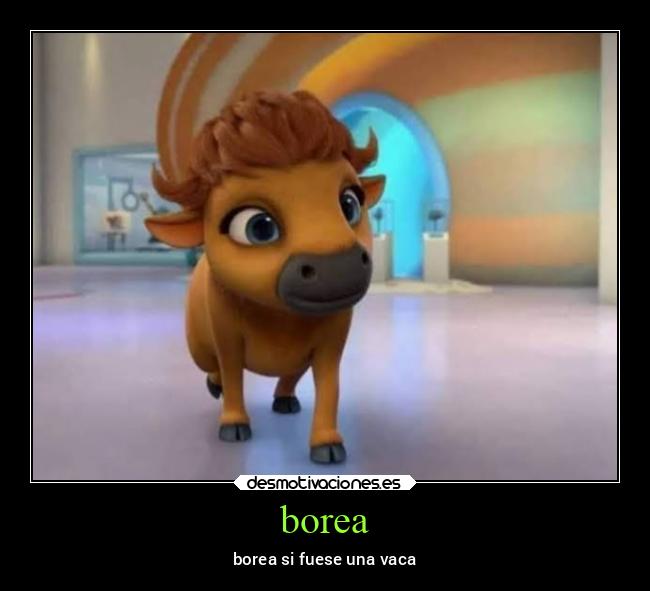 borea - 