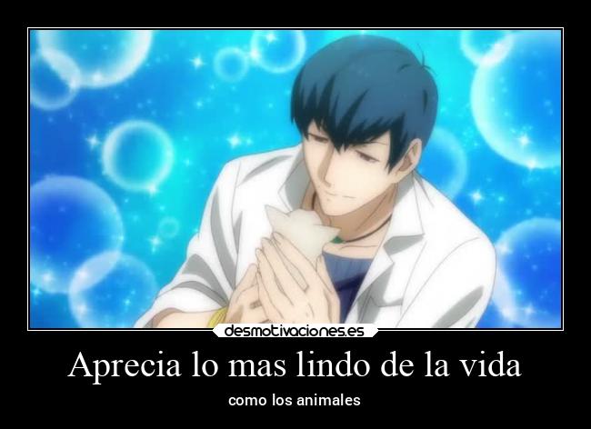 Aprecia lo mas lindo de la vida - como los animales