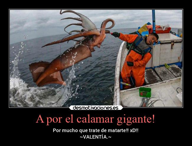 A por el calamar gigante! - 