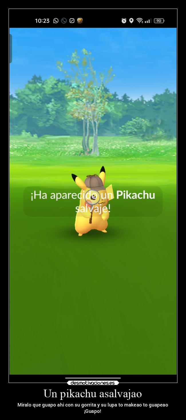 Un pikachu asalvajao - 
