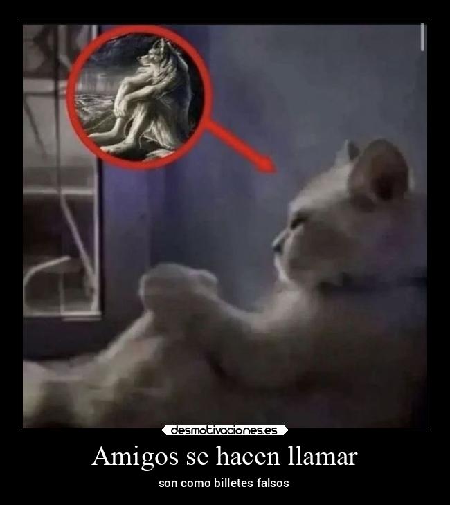 carteles amigos amigos desmotivaciones