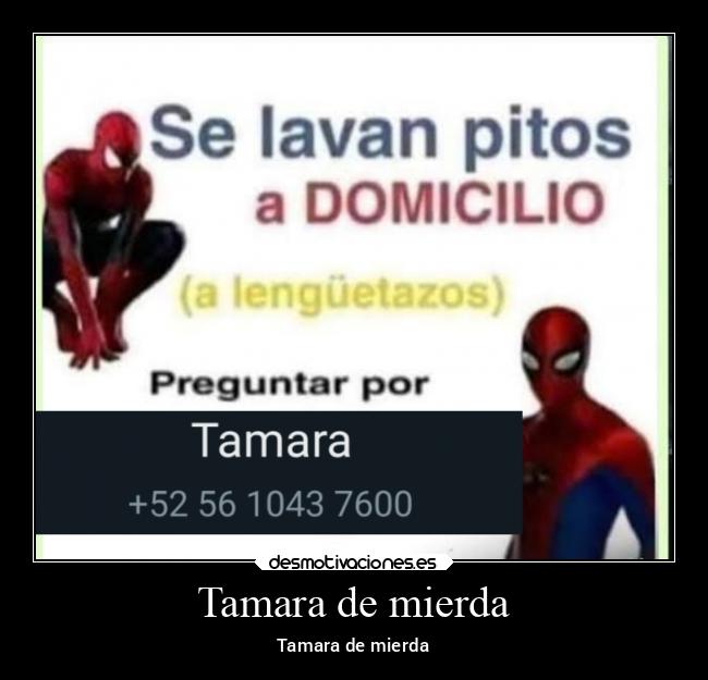 carteles amigos mierda desmotivaciones