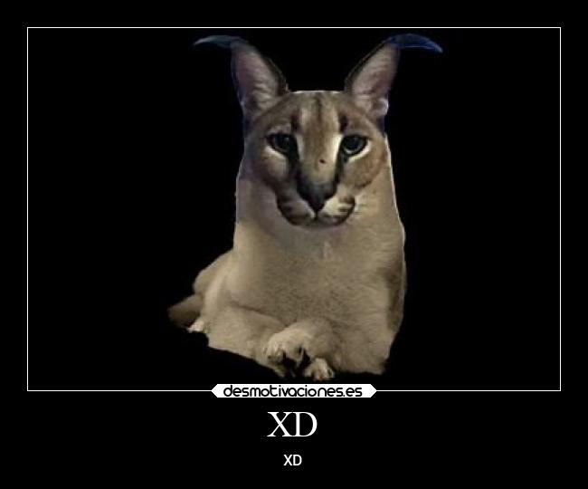 carteles humor desmotivaciones