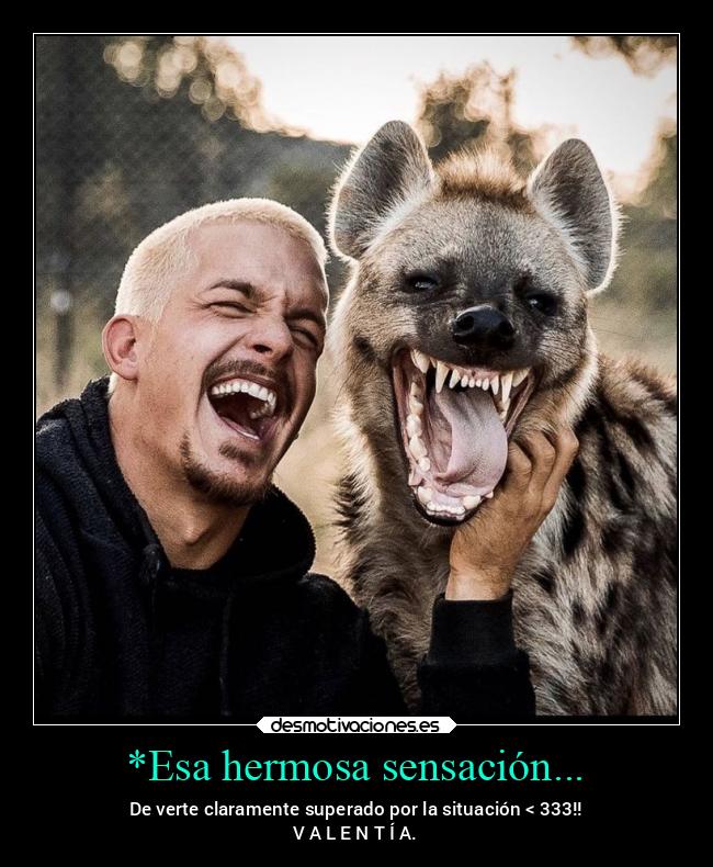 carteles imposible masfuertequeunahiena valentia arrojo berserk africa stronger thefatrat nonosrendimos desmotivaciones