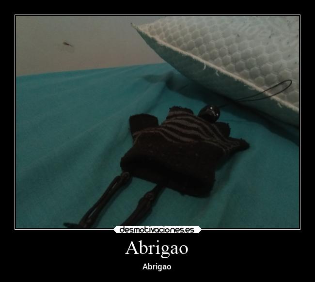Abrigao -