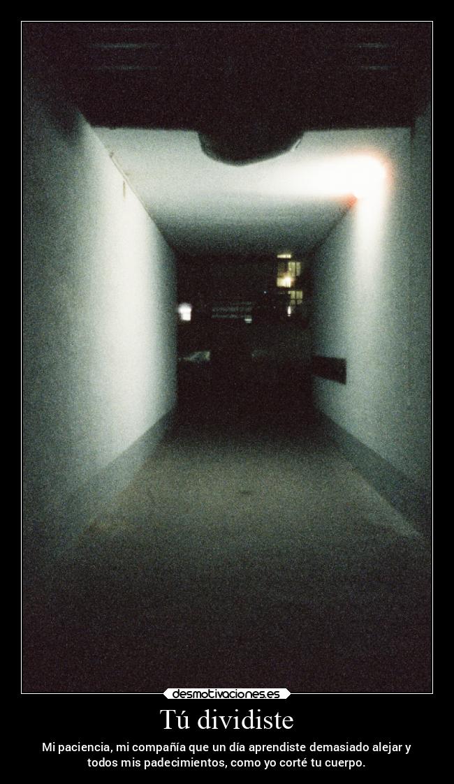 Tú dividiste - Mi paciencia, mi compañía que un día aprendiste demasiado alejar y
todos mis padecimientos, como yo corté tu cuerpo.