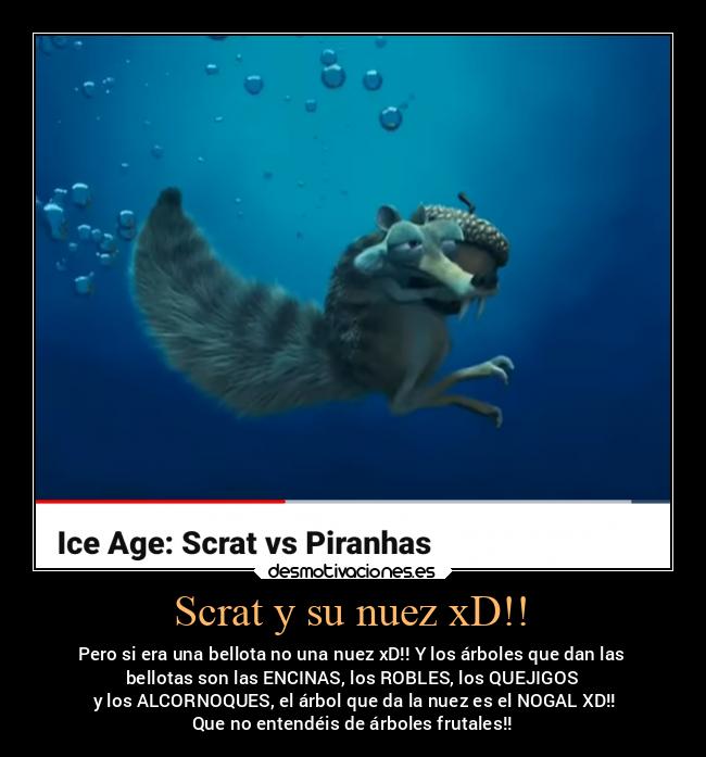 carteles tonto tontosderemate nuez bellotas arbolesfrutales josemariafernandezvillarroel scrat incultos desmotivaciones