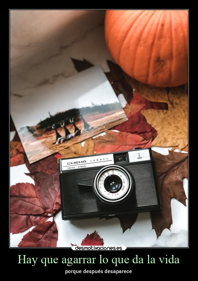 carteles vida alma desmohalloween2023 fotos desmotivaciones