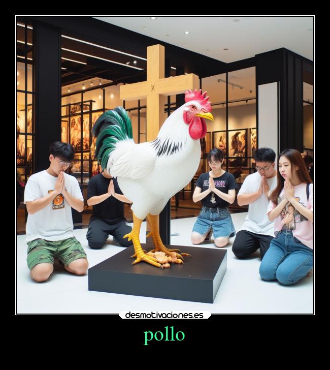 pollo -