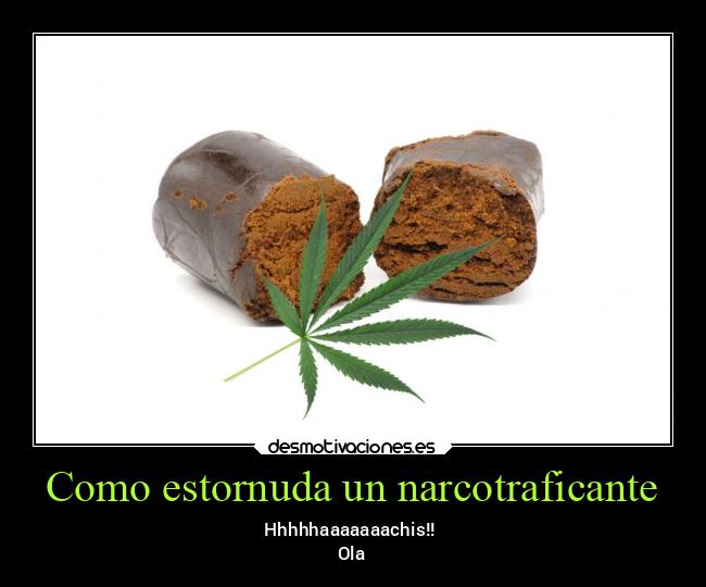 Como estornuda un narcotraficante - 