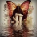 ~~Lagrimas de Fenix~~