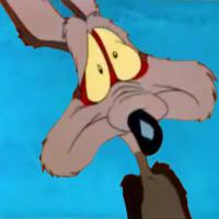 Wily Coyote
