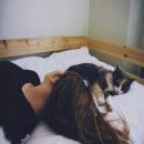 All the stories are true