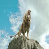 Dager Cordero Ledezma