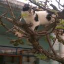 Fernando Cervantes Radzek