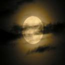 Diana Diego de Guevara