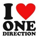 DirectionerLovers1D