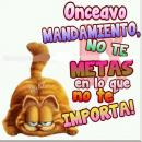 estrellita vanessa rodrig