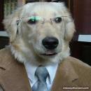 Algun usuario de Internet