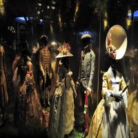 Aristocrata Egocentrico