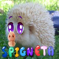 spigneta