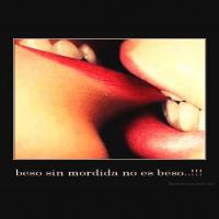 traficantedelacasitos28