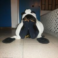 PandaGirl^-^