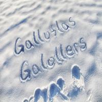 Galluflas-Galollers