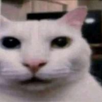 xXPussyDestroyer77Xx