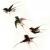 swallows_