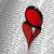 sinlibros_nohayvida
