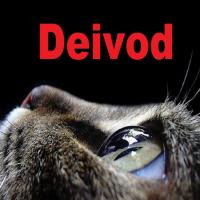 deivod