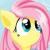 Fluttershy