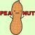 Peanut
