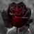 Amnael