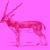 antilope rosa