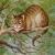 Gato_de_Cheshire