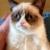 grumpy_cat
