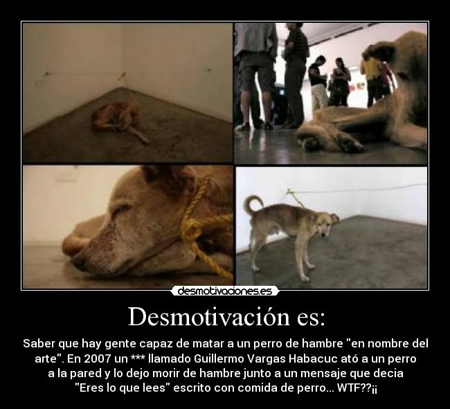como saber si tu perro tiene hambre