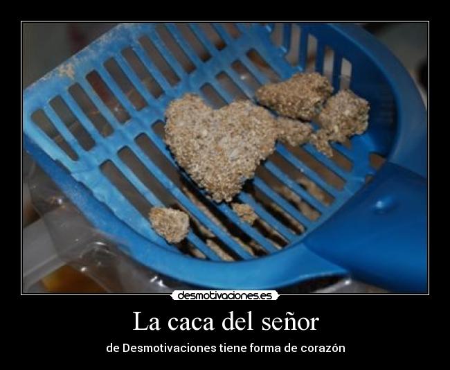 caca en forma de l